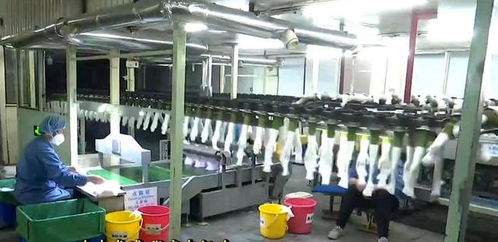 張店 堅決打贏疫情防控阻擊戰(zhàn)