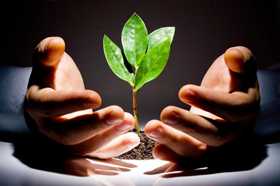 廣東規(guī)模領(lǐng)先的廣州婚姻咨詢(xún)公司——清意雅素商務(wù)服務(wù)